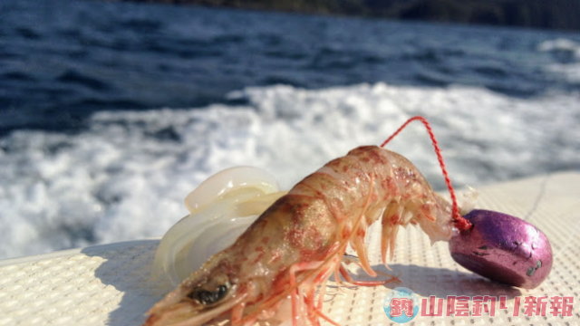 鯛テンヤ！のハズでしたが…