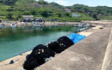 出雲市の釣り場情報”小田漁港”