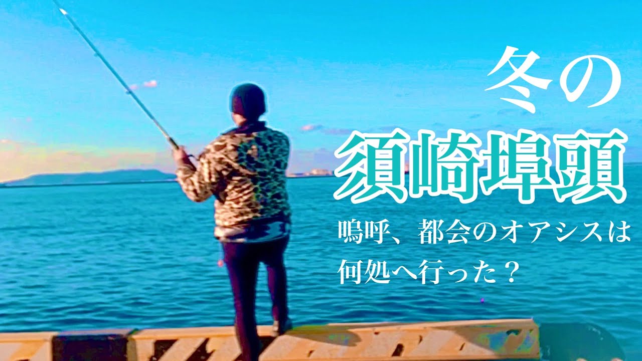 須崎埠頭で定期釣り探索　2020年12月後半