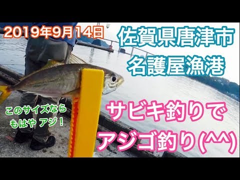 サビキ釣りでアジゴ釣り佐賀県唐津市名護屋漁港
