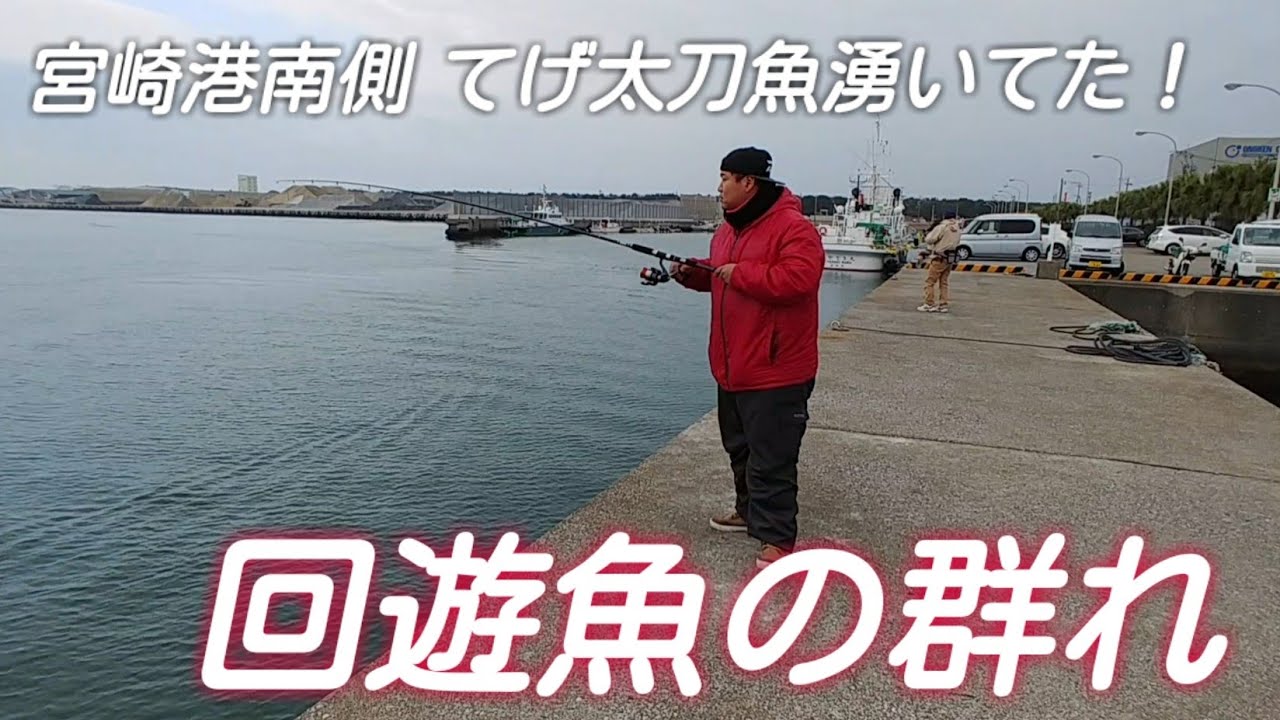【宮崎港】日中の太刀魚が湧いてる港で釣りしてみたら…