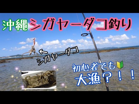 【シガヤーダコ釣り】初心者でも楽しめるタコ釣り！