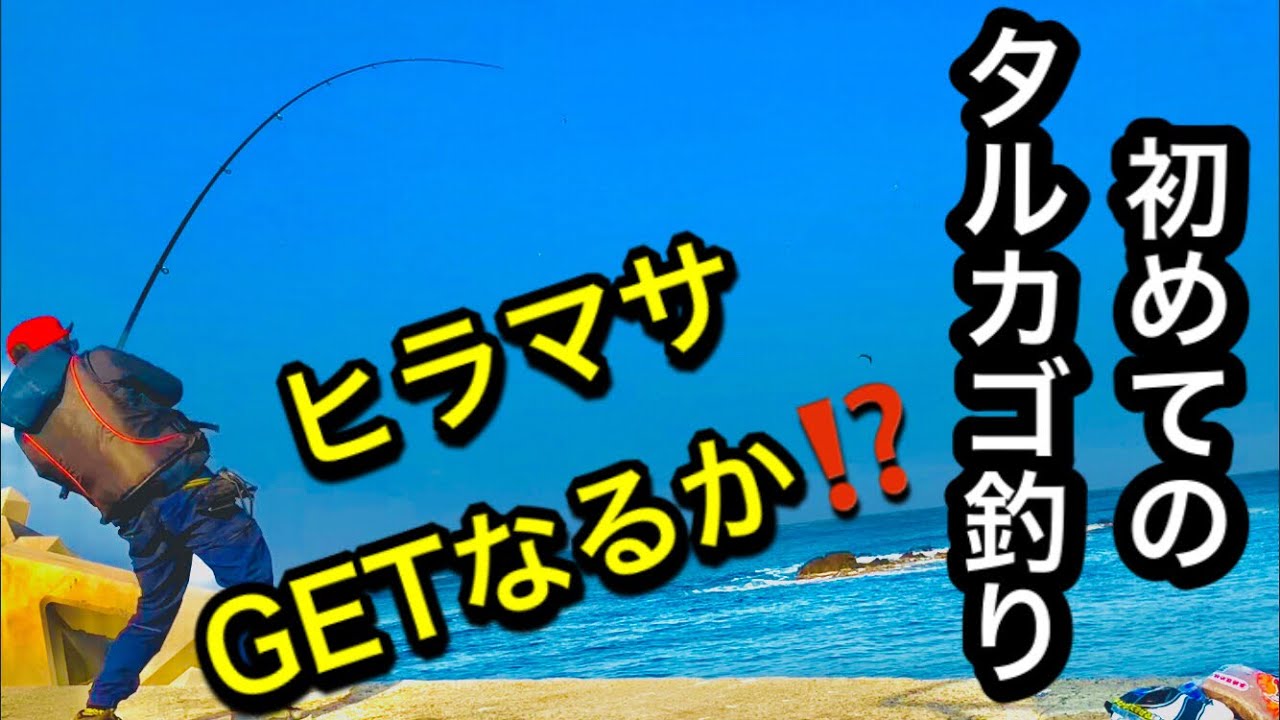 初めてのタルカゴ釣り ヒラマサgetなるか たっちゃん仕掛 島根半島堤防にて 車中泊21年2月日 山陰釣り新報