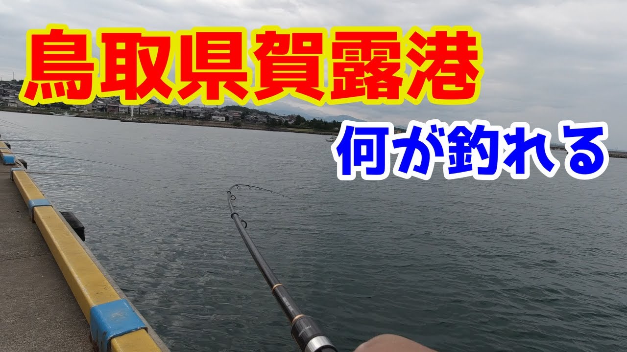 2019年9月下旬鳥取賀露港　September 2019 in Karo Port, Tottori