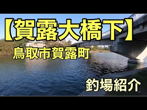 【賀露大橋下】釣り場情報（鳥取市賀露町）
