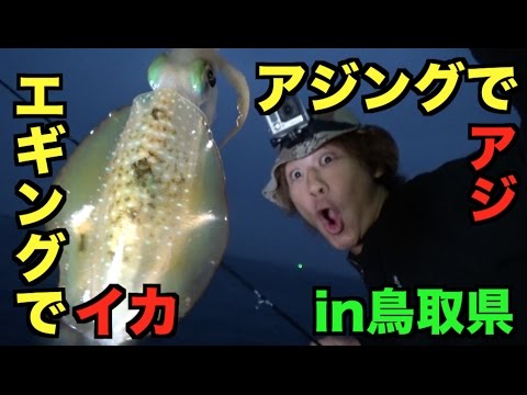 #2 車で釣りの旅！佐賀～東京　日本有数の漁礁でアオリＧＥＴ！