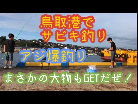 【vlog】鳥取県でサビキでアジ爆釣り！サビキ釣りで大物GET