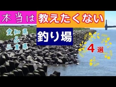 釣り場紹介・釣り初心者におすすめ超穴場