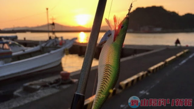 長崎県樺島でエギング