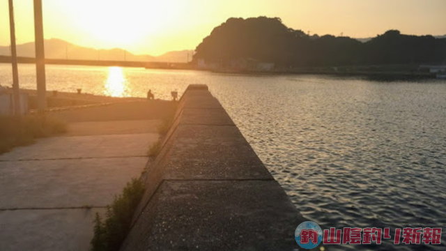 長崎県樺島でエギング