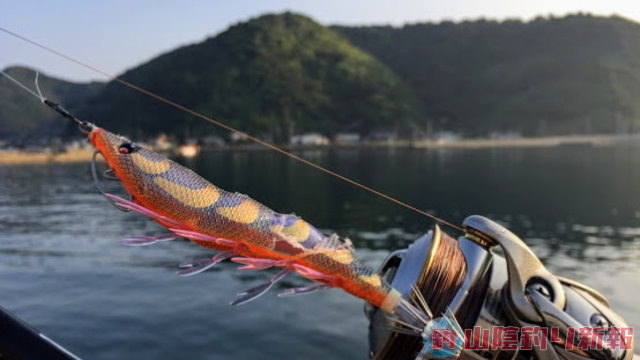 長崎県樺島でエギング