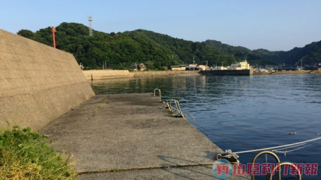 長崎県樺島でエギング