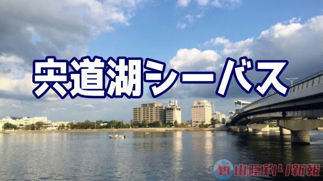 宍道湖シーバスを求めてin松江市