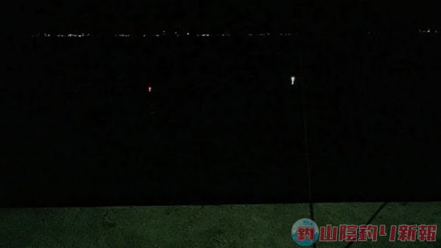 タチオウの幻想的な夜釣りin高松