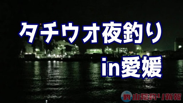 タチウオエサ釣りNight in愛媛県川之江