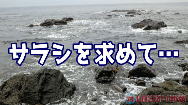 長崎県生月島へサラシを求めて…