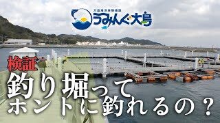 福岡のうみんぐ大島っていう釣り堀に行ってみた 山陰釣り新報