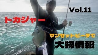 沖縄釣り 巨大魚情報入手 挑んでみた トカジャー 山陰釣り新報