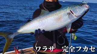 針とエサだけで大物を釣る完全フカセ釣り 東京湾 青物 釣り 山陰釣り新報