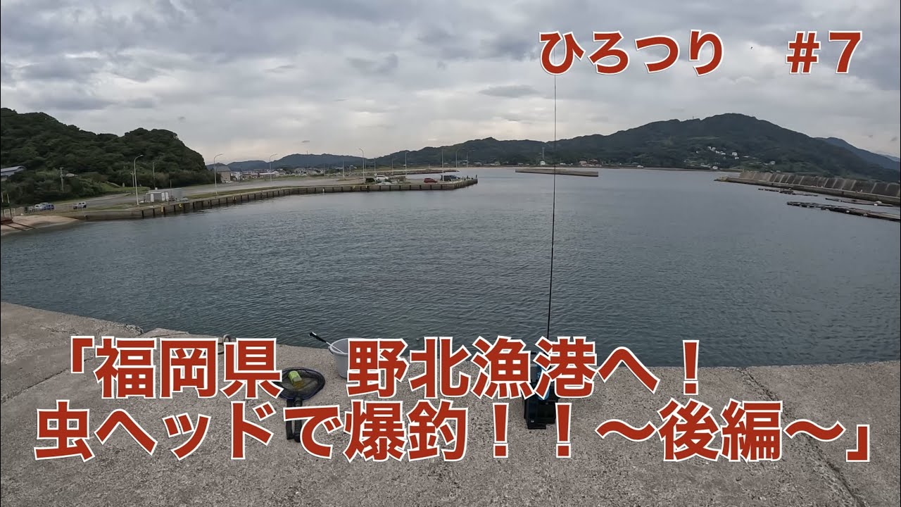 【堤防釣り】ひろつり ＃7 「福岡県 野北漁港へ！虫ヘッドで爆釣！！〜後編〜」 | 山陰釣り新報